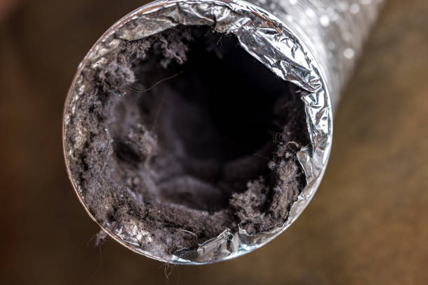 Best Emergency Air Duct Cleaning  in Ashland, NJ