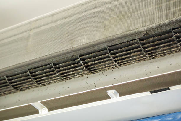 Best Residential Air Duct Cleaning  in Ashland, NJ